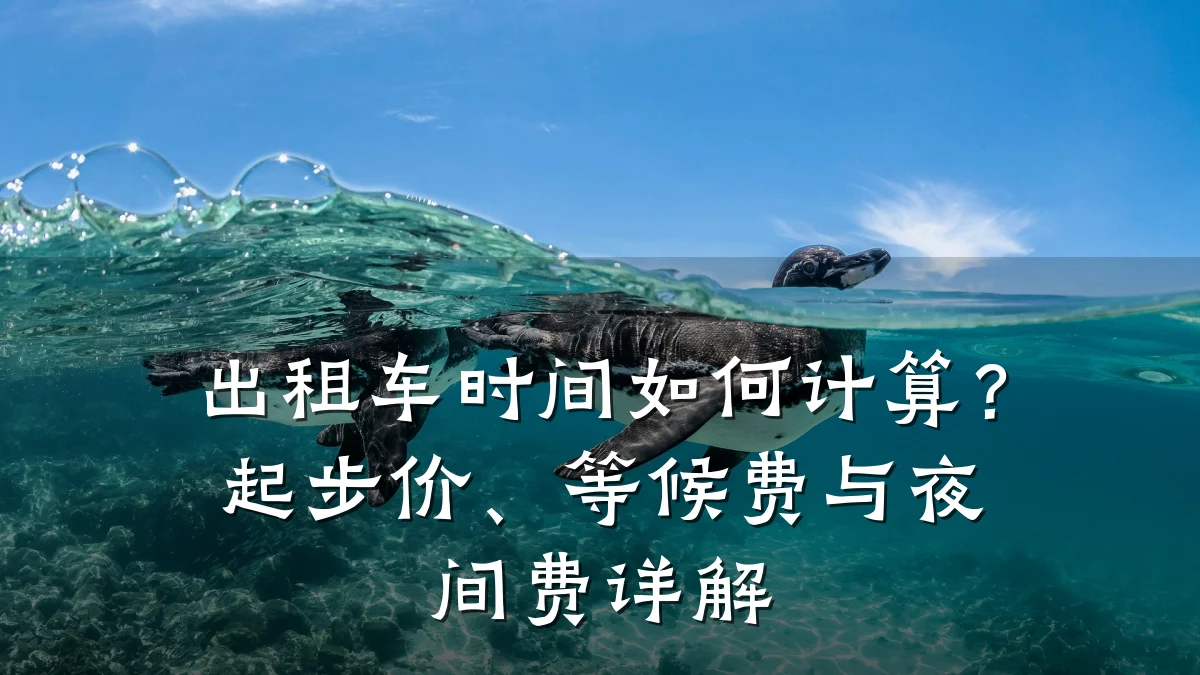 出租车时间如何计算？起步价、等候费与夜间费详解