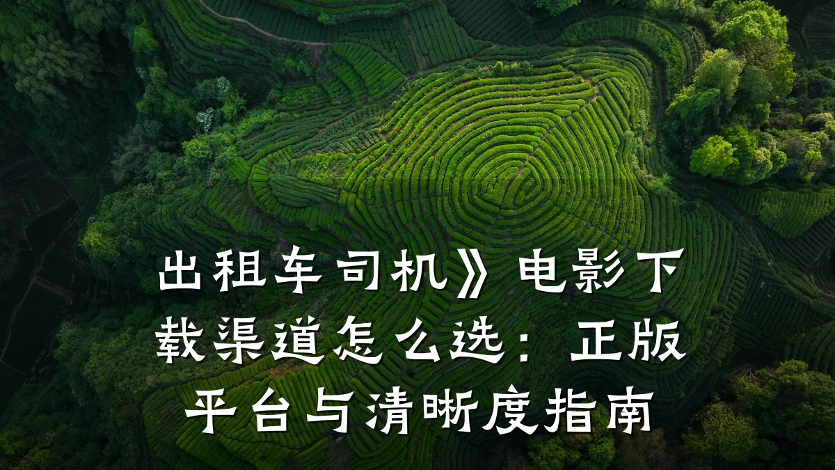 出租车司机》电影下载渠道怎么选：正版平台与清晰度指南