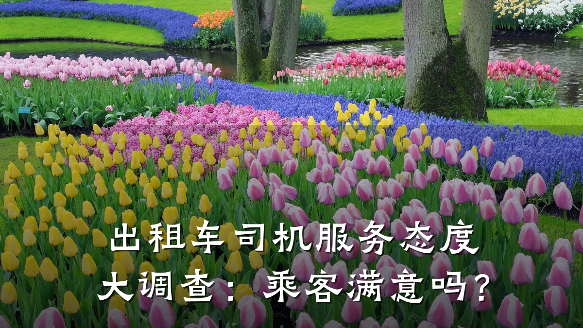 出租车司机服务态度大调查:乘客满意吗?