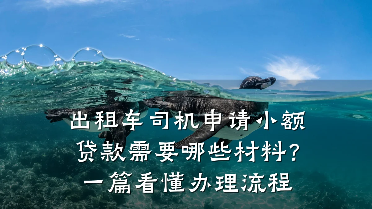 出租车司机申请小额贷款需要哪些材料？一篇看懂办理流程