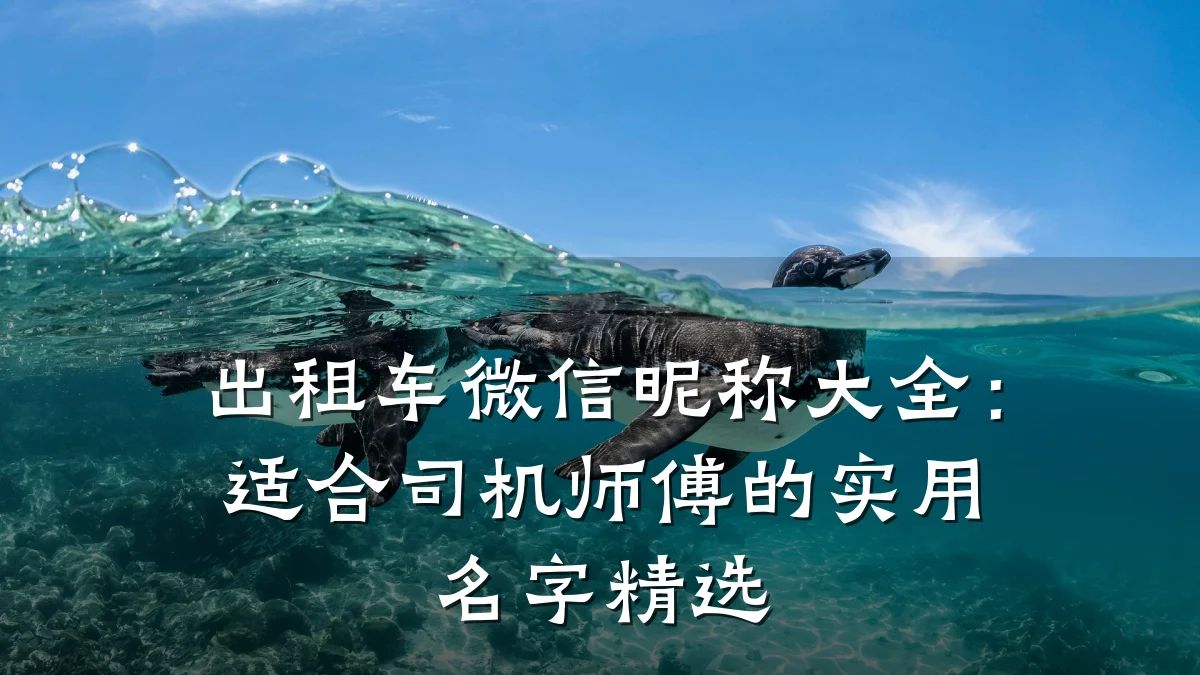 出租车微信昵称大全:适合司机师傅的实用名字精选