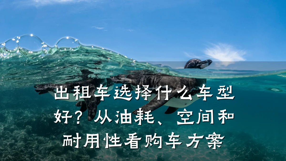 出租车选择什么车型好？从油耗、空间和耐用性看购车方案