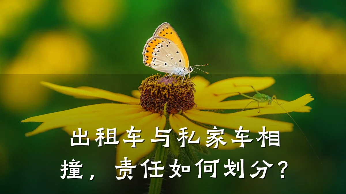 出租车与私家车相撞，责任如何划分？
