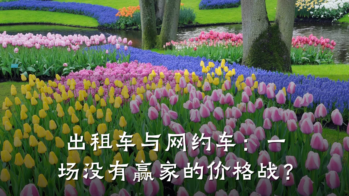 出租车与网约车：一场没有赢家的价格战？