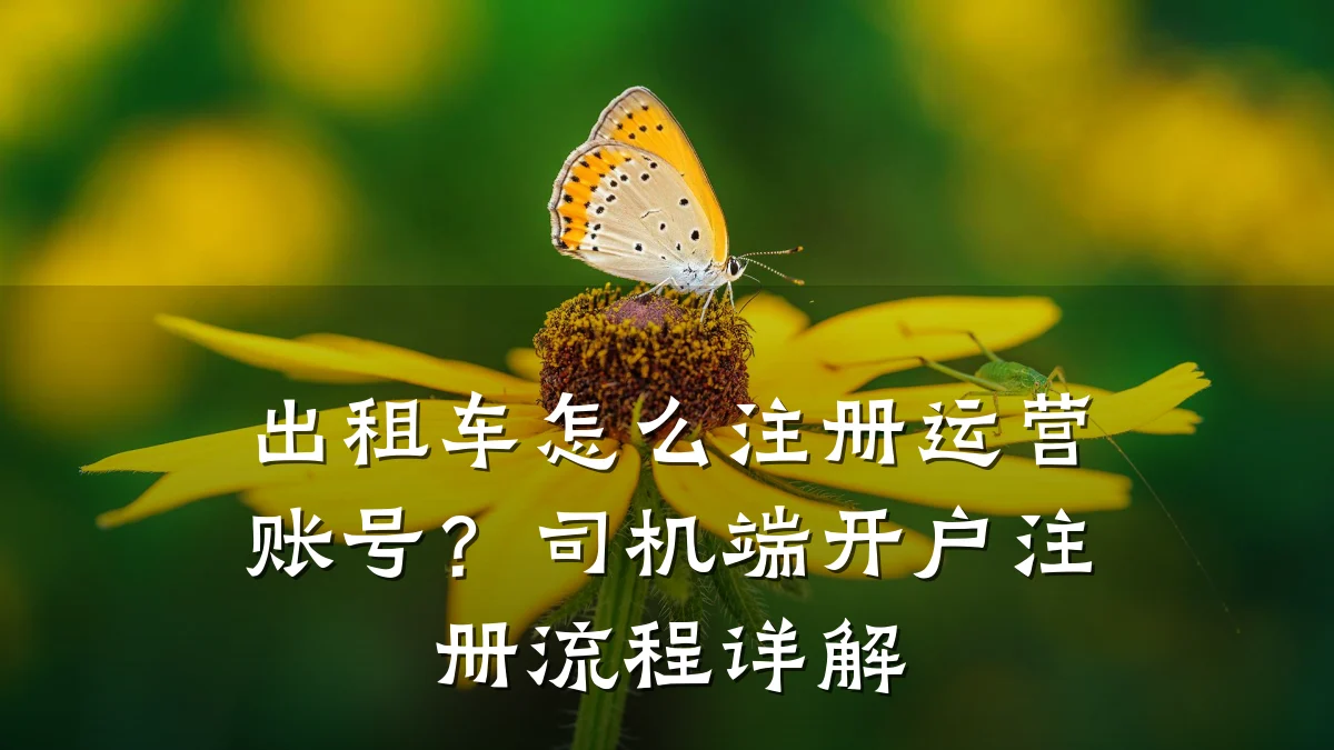 出租车怎么注册运营账号？司机端开户注册流程详解