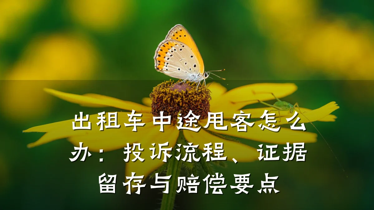 出租车中途甩客怎么办：投诉流程、证据留存与赔偿要点