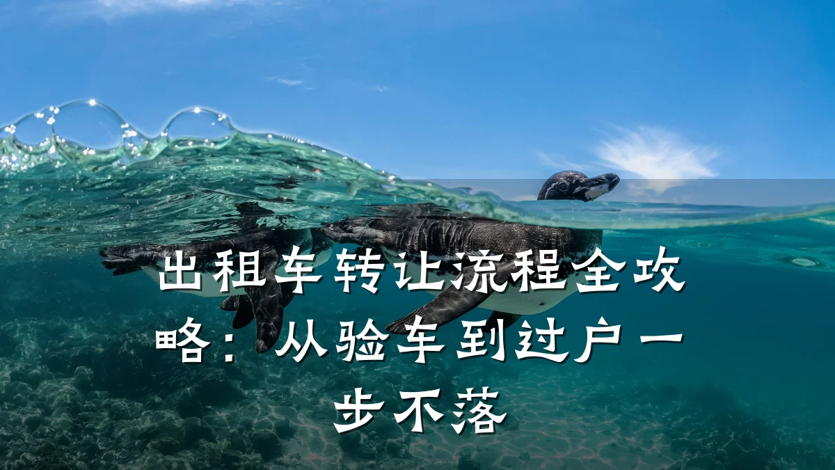出租车转让流程全攻略：从验车到过户一步不落