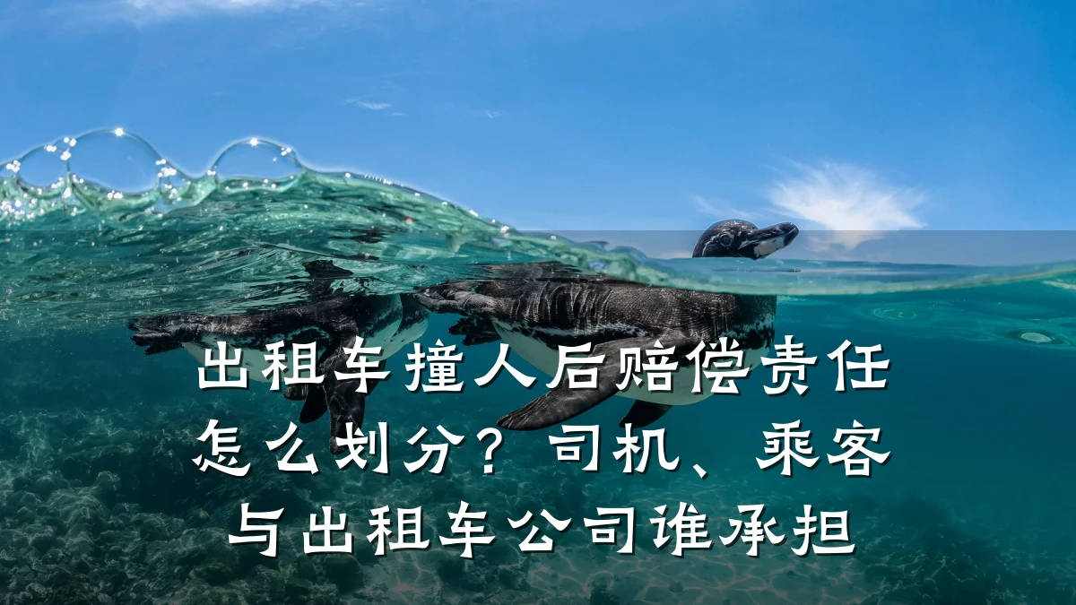 出租车撞人后赔偿责任怎么划分？司机、乘客与出租车公司谁承担