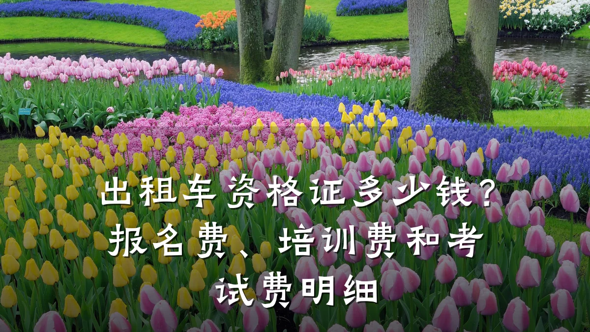 出租车资格证多少钱？报名费、培训费和考试费明细