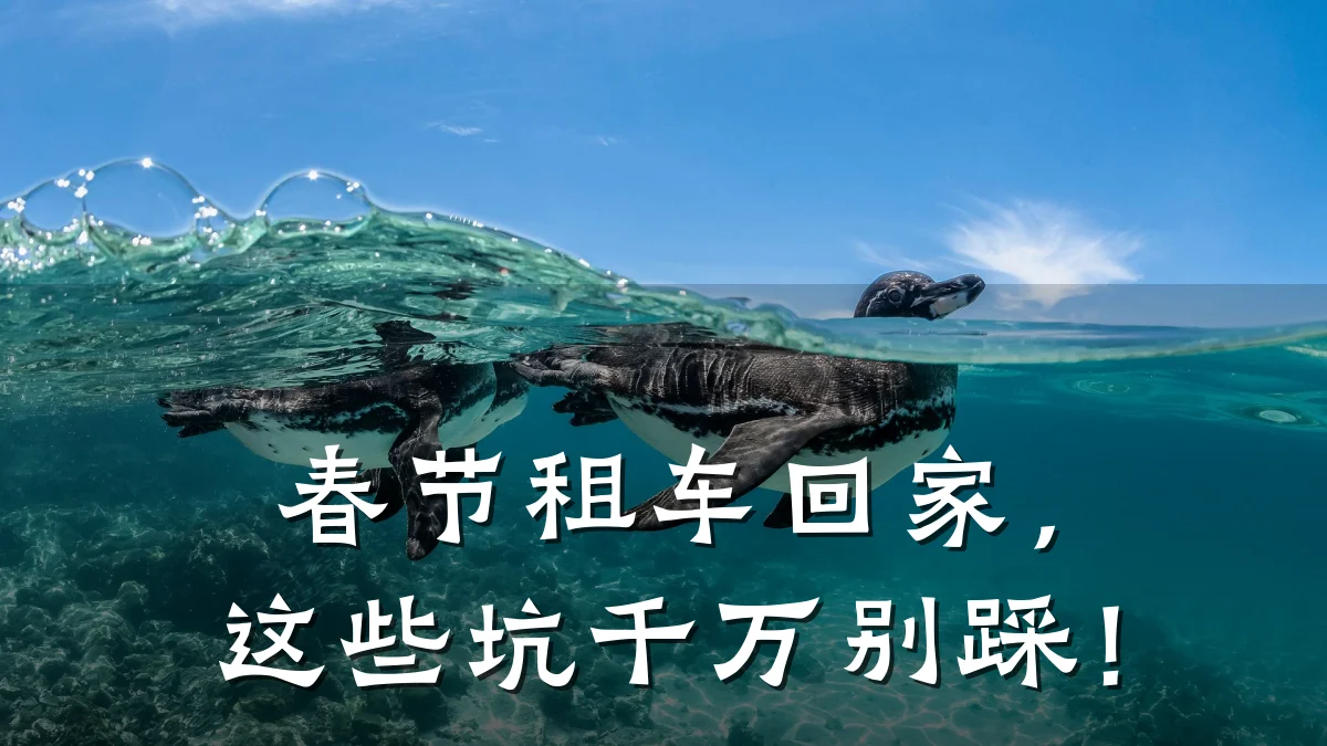 春节租车回家,这些坑千万别踩!