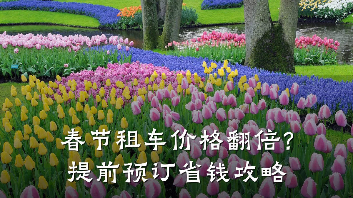 春节租车价格翻倍?提前预订省钱攻略