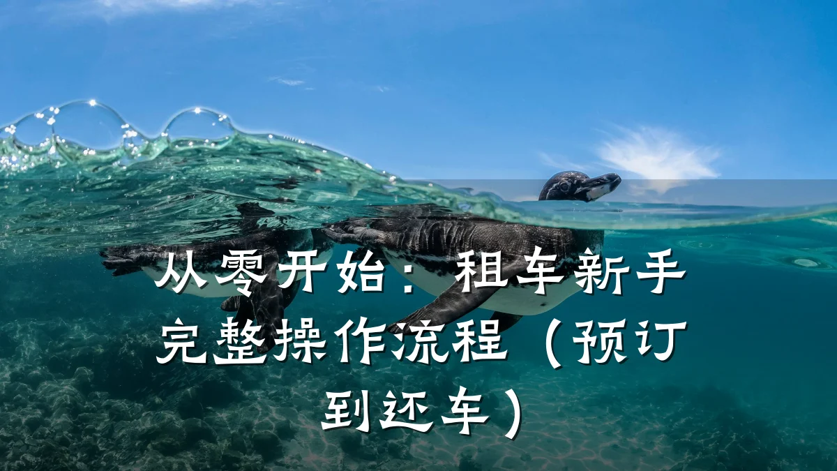 从零开始：租车新手完整操作流程（预订到还车）