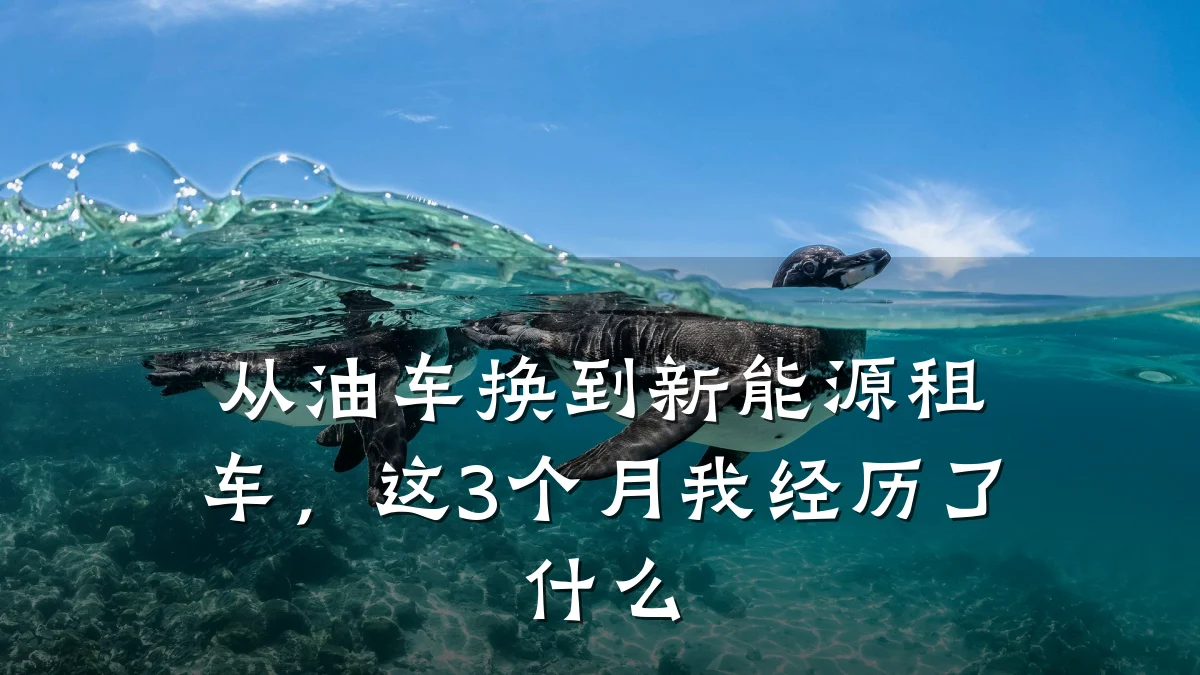 从油车换到新能源租车，这3个月我经历了什么