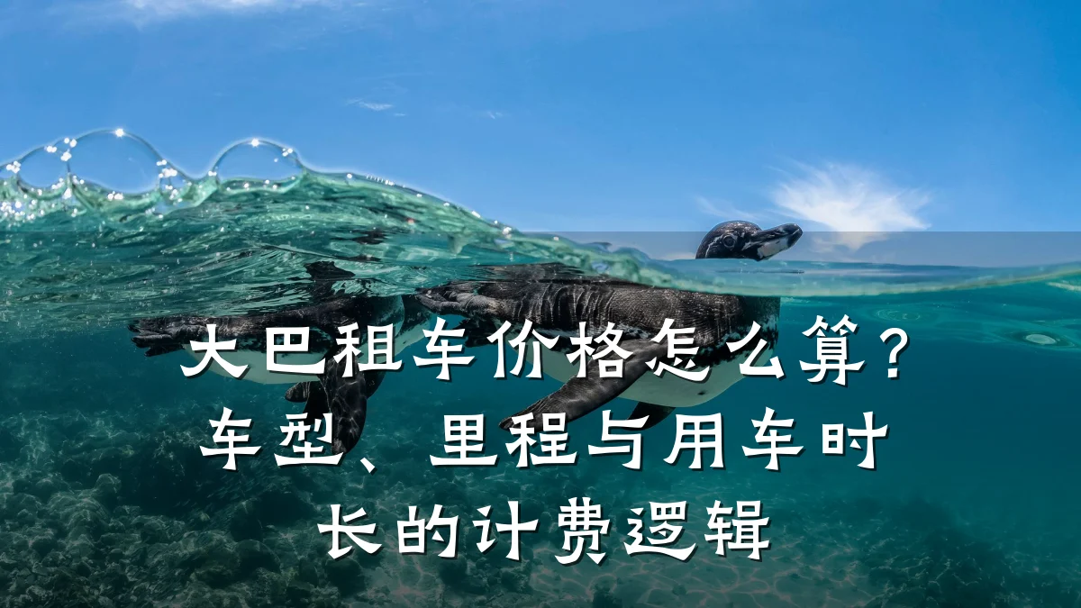 大巴租车价格怎么算？车型、里程与用车时长的计费逻辑