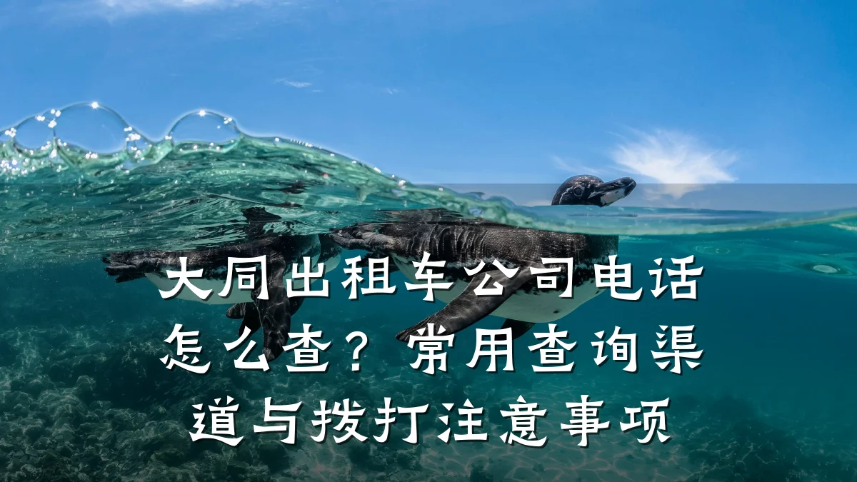 大同出租车公司电话怎么查?常用查询渠道与拨打注意事项