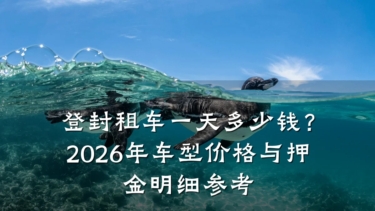登封租车一天多少钱？2026年车型价格与押金明细参考
