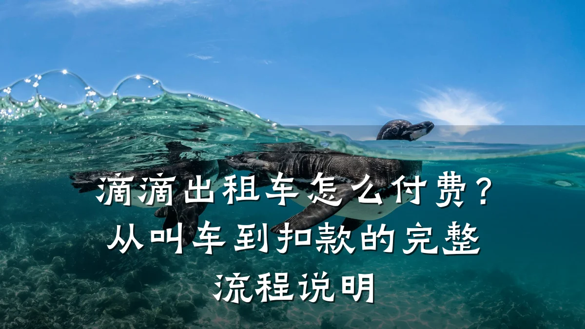 滴滴出租车怎么付费?从叫车到扣款的完整流程说明