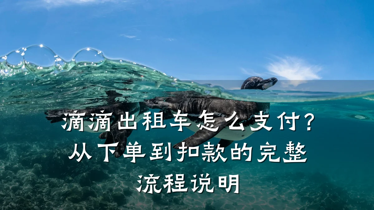 滴滴出租车怎么支付?从下单到扣款的完整流程说明