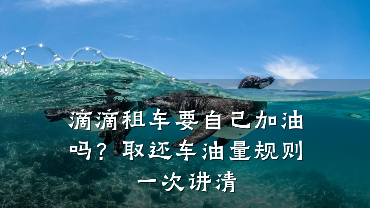 滴滴租车要自己加油吗？取还车油量规则一次讲清