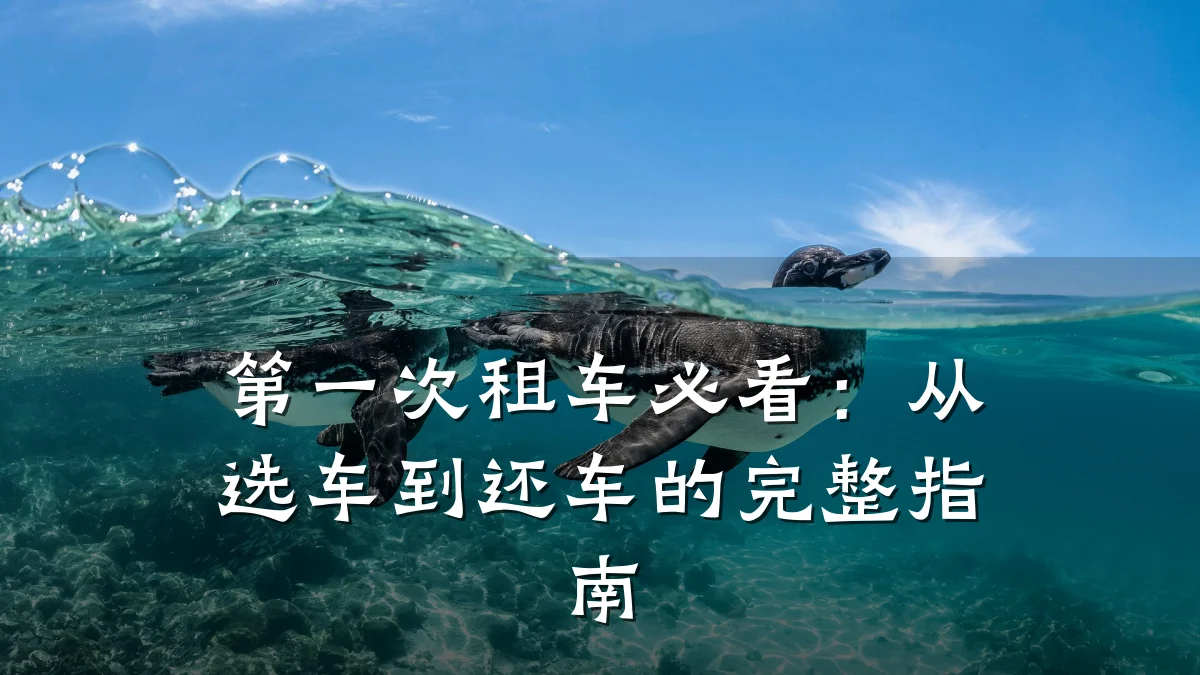 第一次租车必看：从选车到还车的完整指南