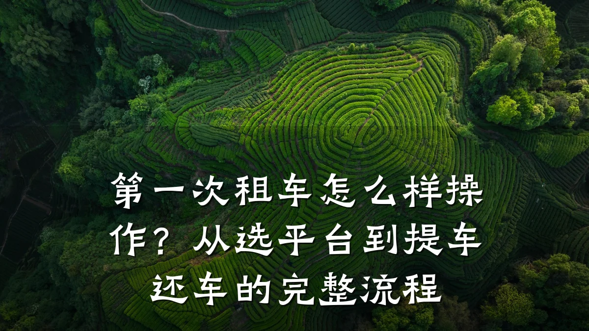 第一次租车怎么样操作？从选平台到提车还车的完整流程