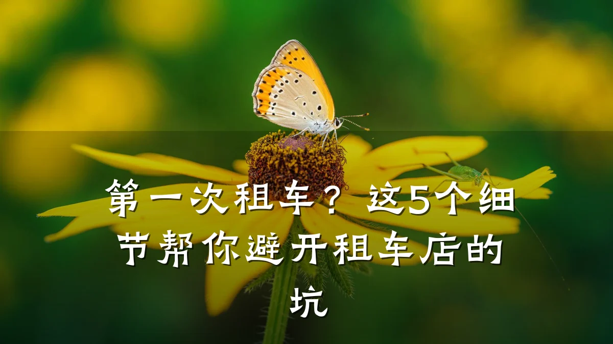 第一次租车？这5个细节帮你避开租车店的坑