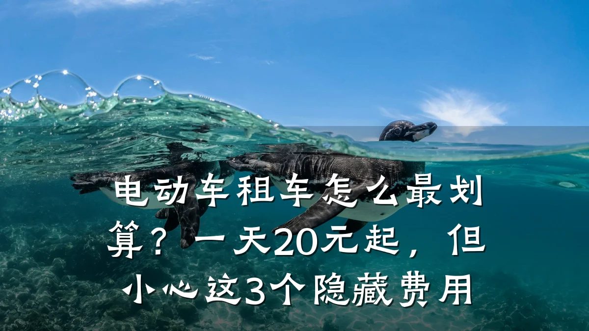 电动车租车怎么最划算？一天20元起，但小心这3个隐藏费用