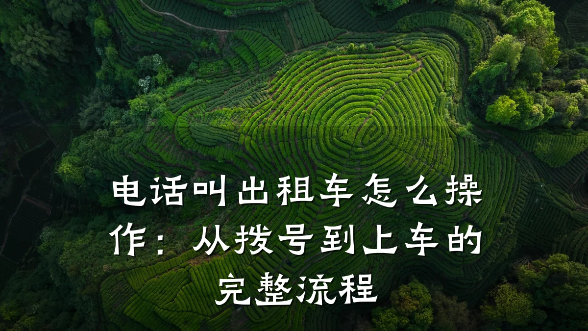 电话叫出租车怎么操作:从拨号到上车的完整流程