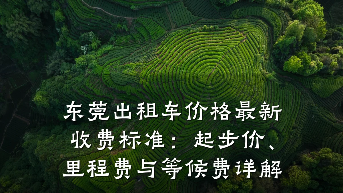 东莞出租车价格最新收费标准：起步价、里程费与等候费详解