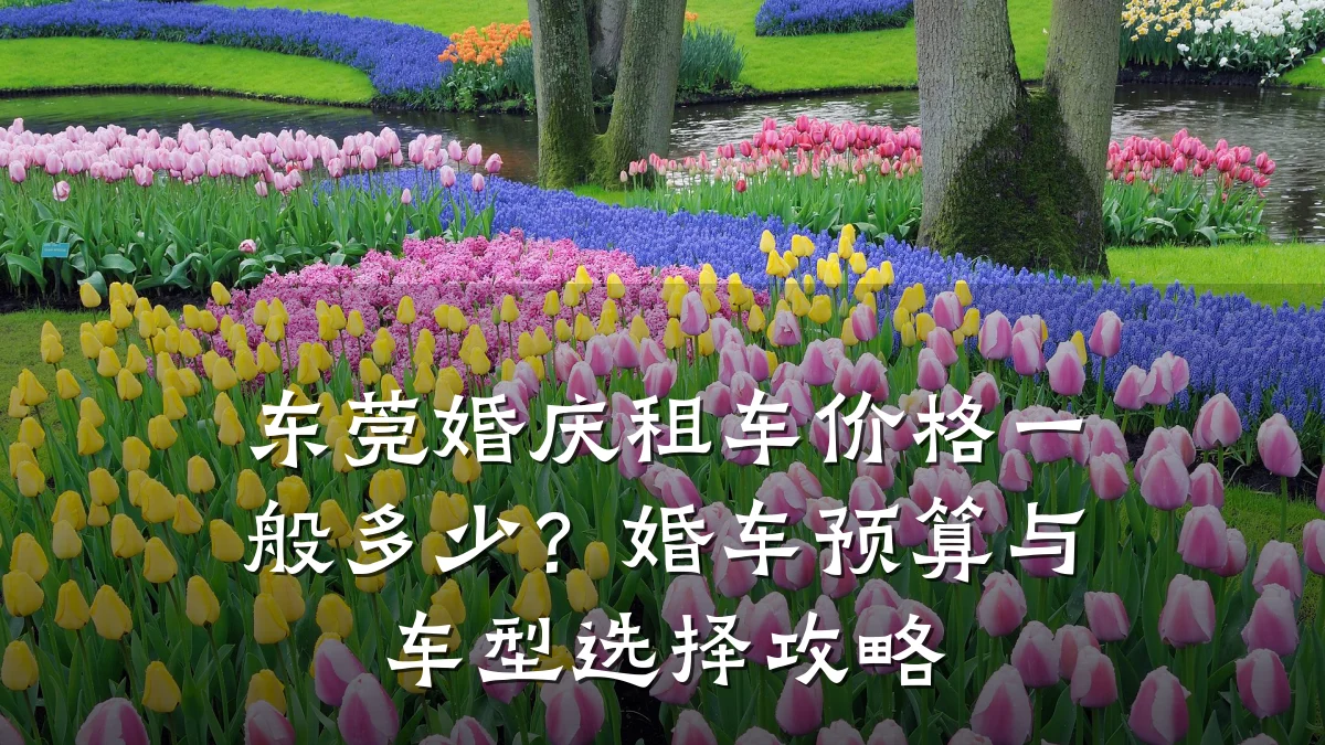 东莞婚庆租车价格一般多少？婚车预算与车型选择攻略