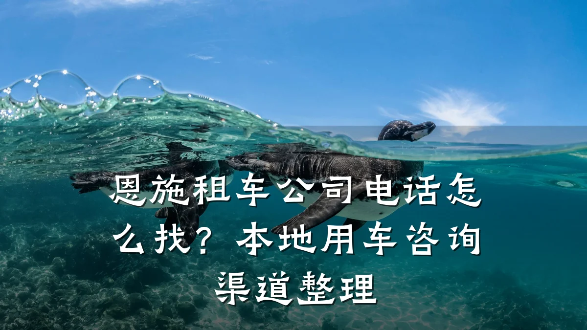 恩施租车公司电话怎么找？本地用车咨询渠道整理