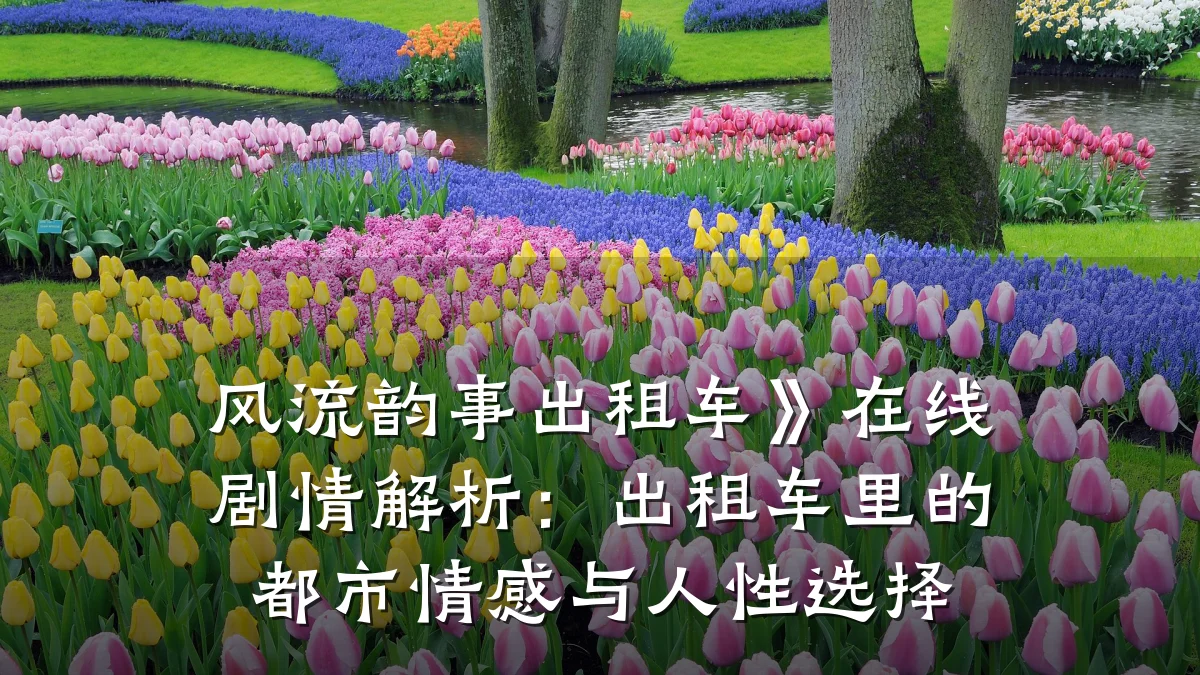 风流韵事出租车》在线剧情解析:出租车里的都市情感与人性选择