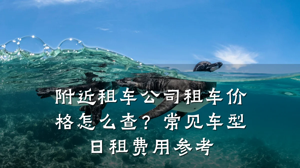 附近租车公司租车价格怎么查?常见车型日租费用参考