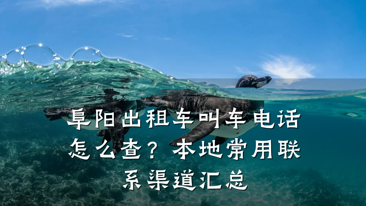 阜阳出租车叫车电话怎么查?本地常用联系渠道汇总
