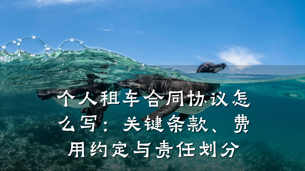 个人租车合同协议怎么写：关键条款、费用约定与责任划分