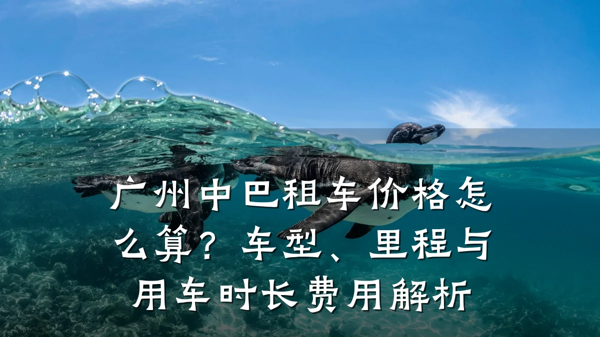 广州中巴租车价格怎么算？车型、里程与用车时长费用解析