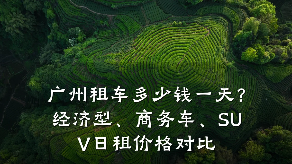 广州租车多少钱一天?经济型、商务车、SUV日租价格对比