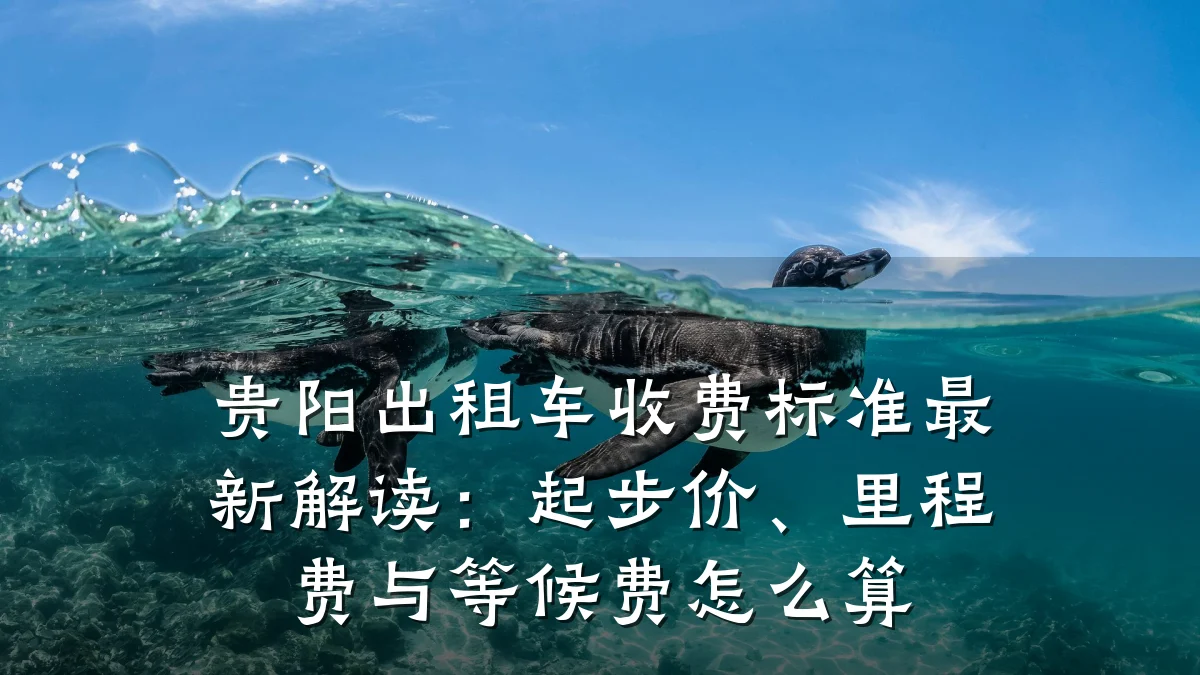 贵阳出租车收费标准最新解读:起步价、里程费与等候费怎么算