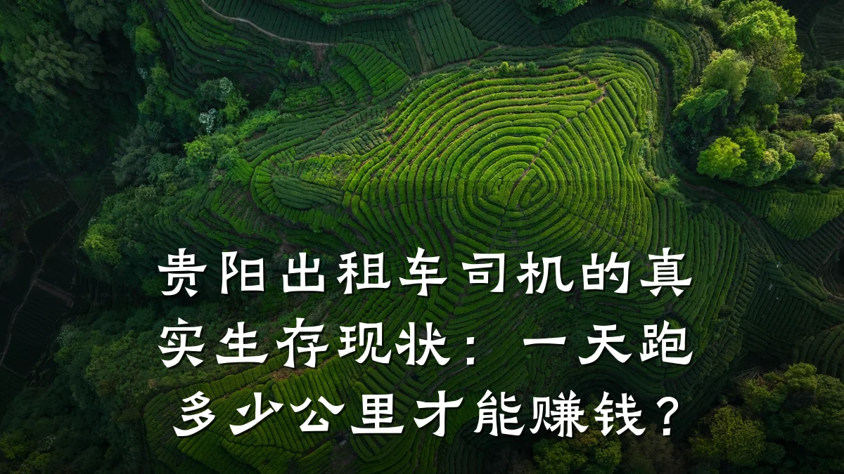 贵阳出租车司机的真实生存现状：一天跑多少公里才能赚钱？