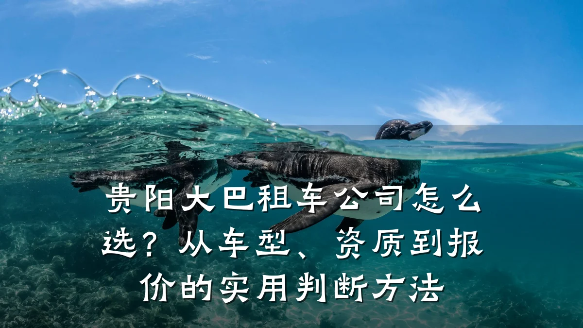 贵阳大巴租车公司怎么选？从车型、资质到报价的实用判断方法