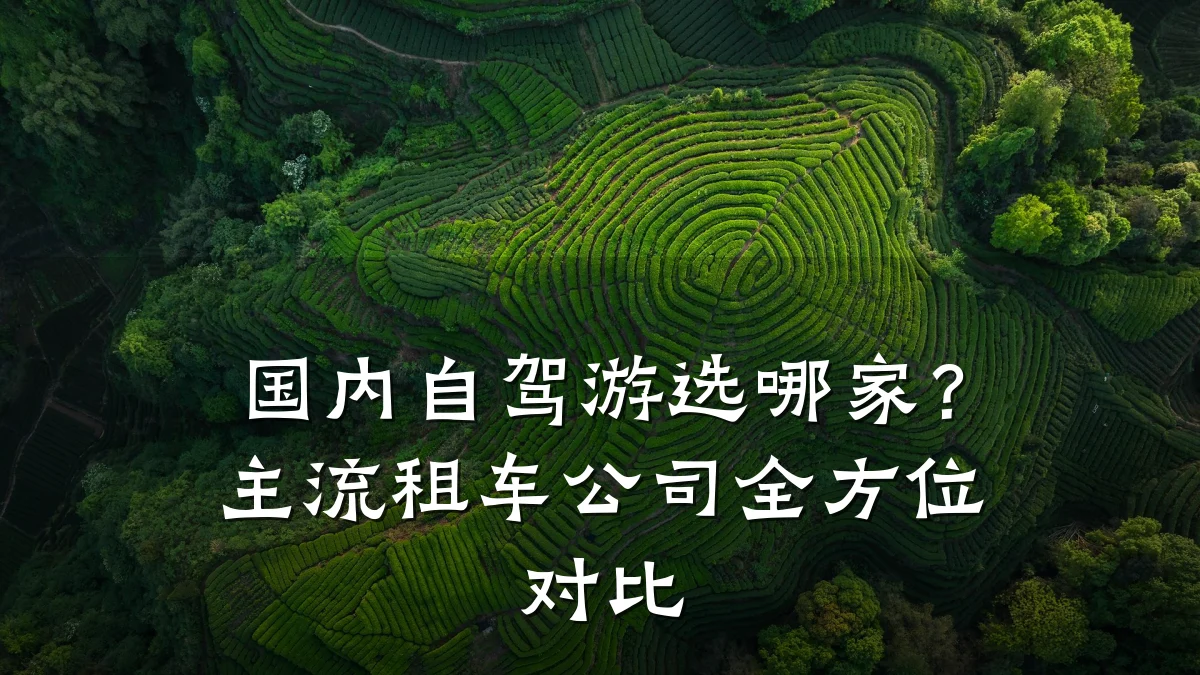 国内自驾游选哪家?主流租车公司全方位对比