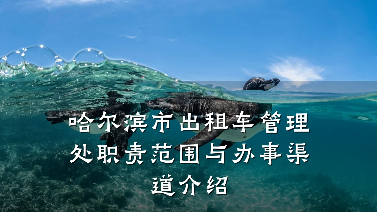 哈尔滨市出租车管理处职责范围与办事渠道介绍