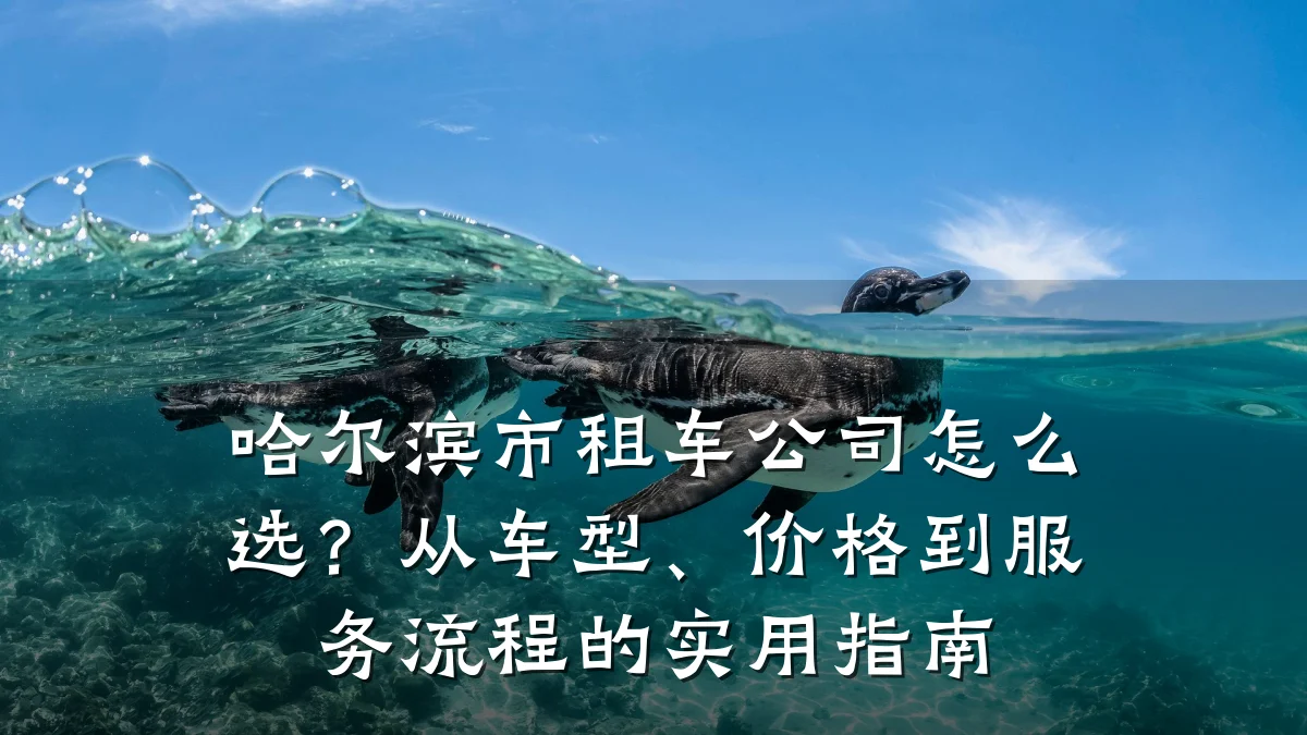 哈尔滨市租车公司怎么选？从车型、价格到服务流程的实用指南