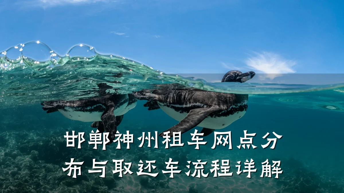 邯郸神州租车网点分布与取还车流程详解