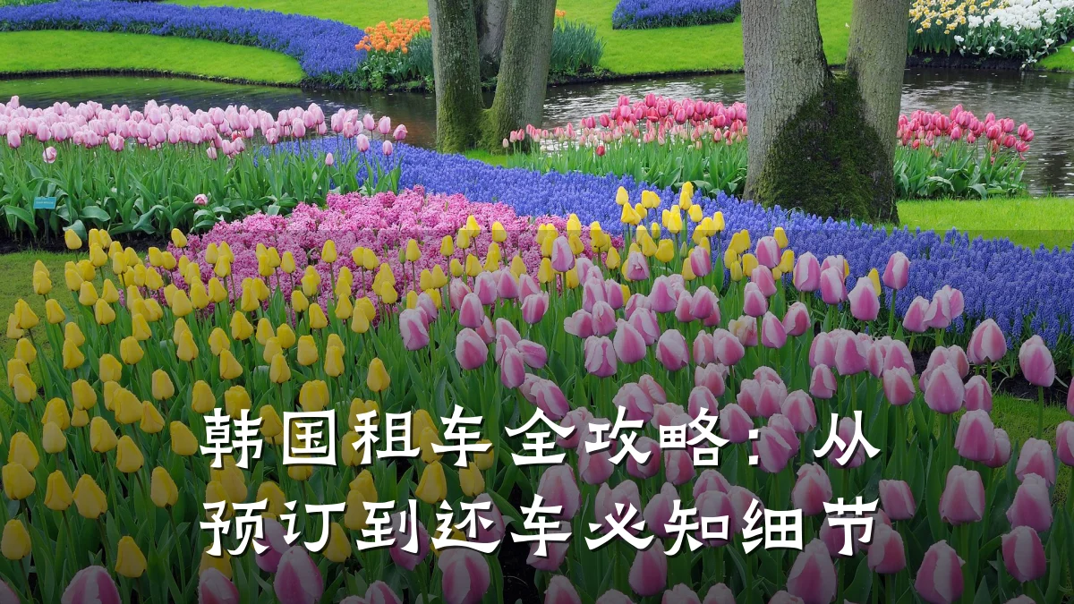 韩国租车全攻略：从预订到还车必知细节