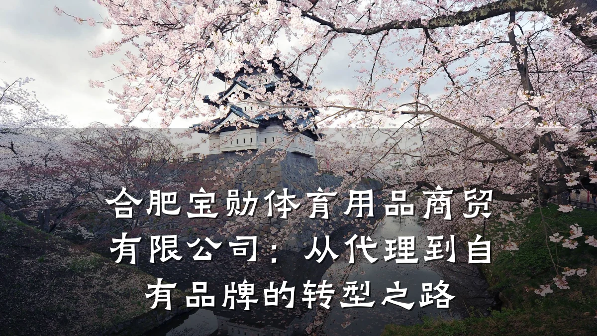 合肥宝勋体育用品商贸有限公司：从代理到自有品牌的转型之路