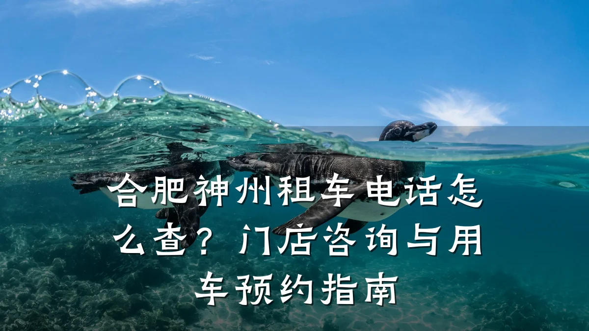 合肥神州租车电话怎么查？门店咨询与用车预约指南