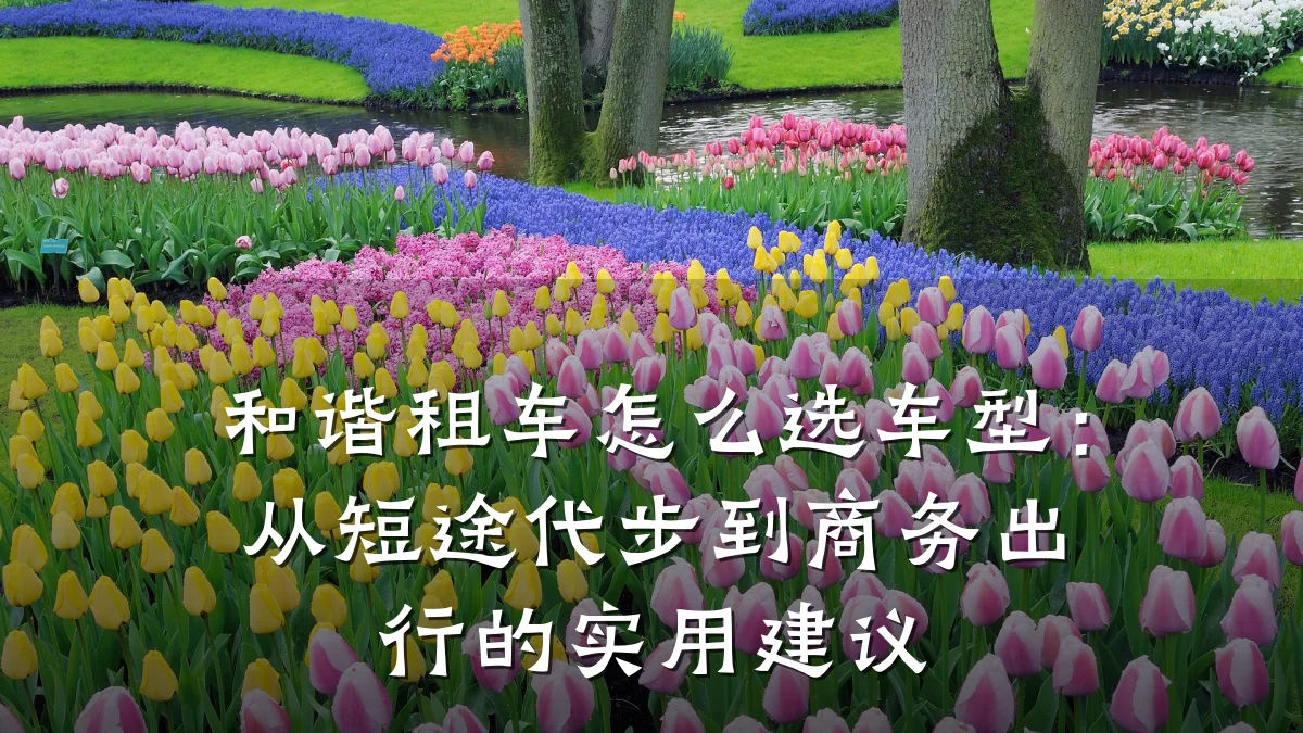 和谐租车怎么选车型：从短途代步到商务出行的实用建议