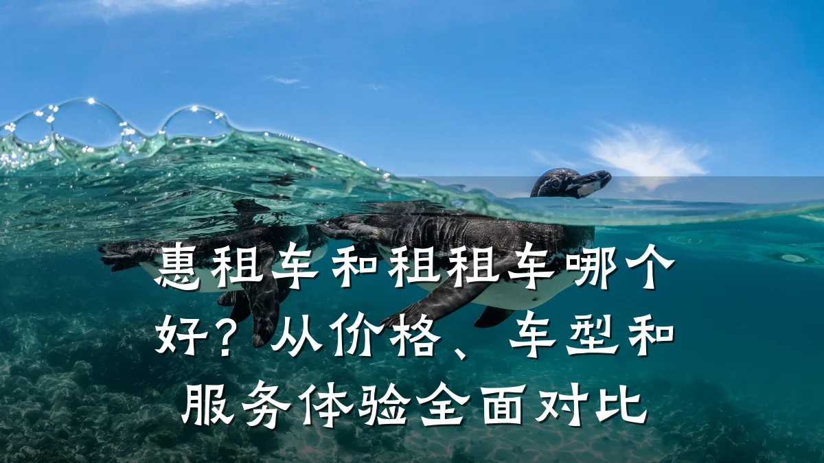 惠租车和租租车哪个好？从价格、车型和服务体验全面对比