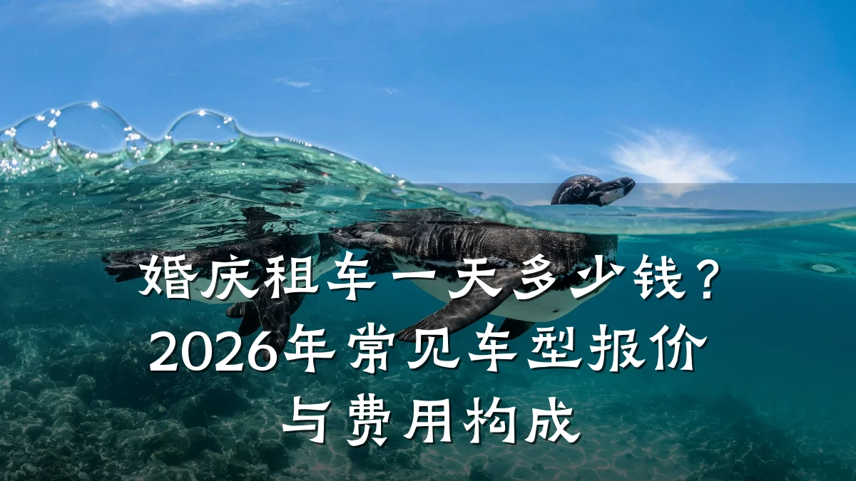 婚庆租车一天多少钱?2026年常见车型报价与费用构成